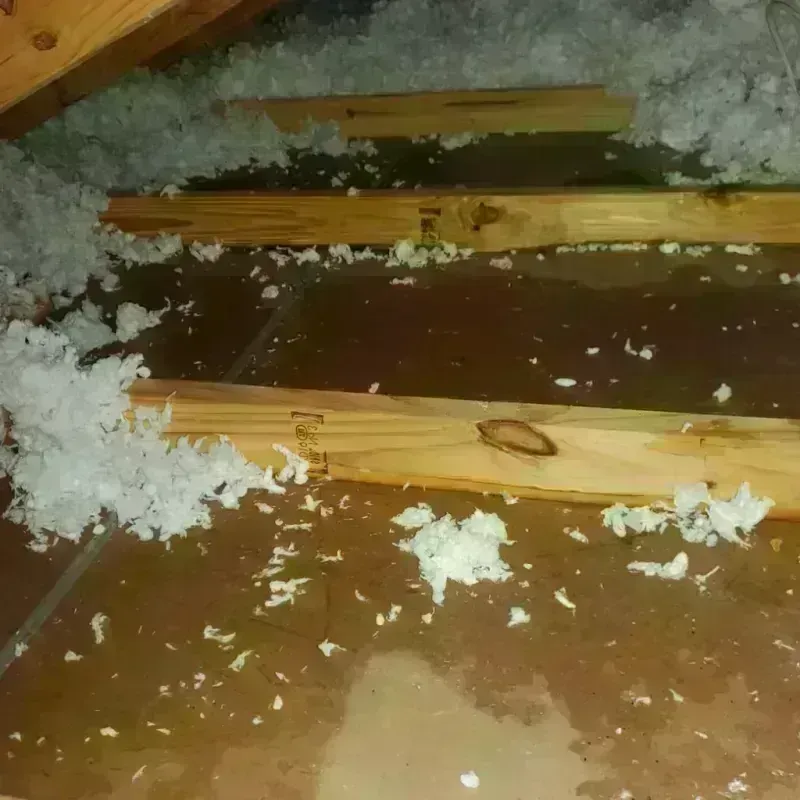 Attic Water Damage in Bartlett, IL