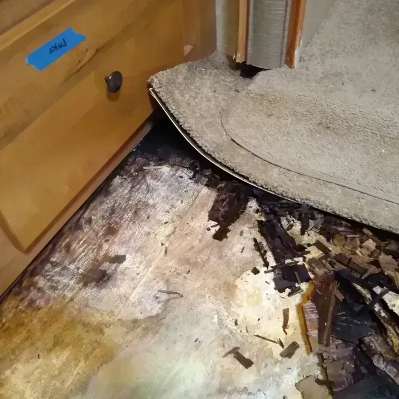 Wood Floor Water Damage in Bartlett, IL